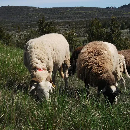 Farm stay Gites Le Mas Barral