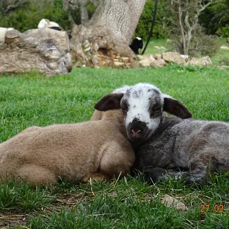 Farm stay Gites Le Mas Barral Blandas